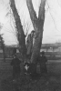 Hildred Thurow in tree with three women nearby (1915)