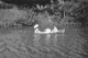 Three Girls in Rowboat on Zumbro River, Mayo Park, Rochester, MN